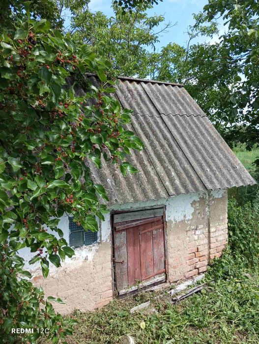 Приватний будинок