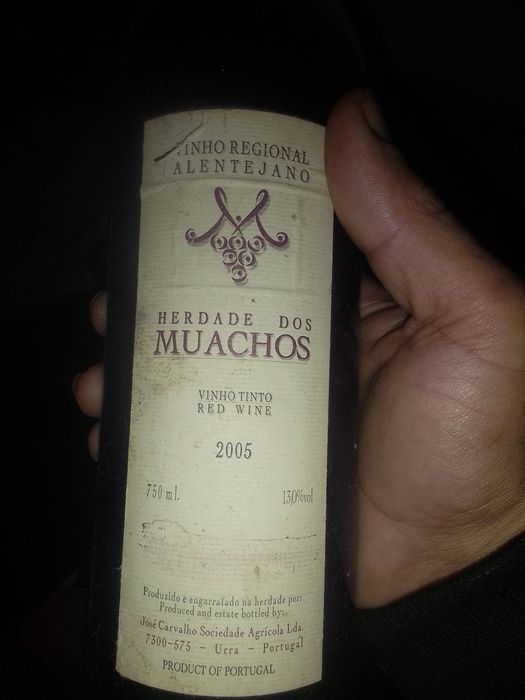 Vendo bom vinho caseiro