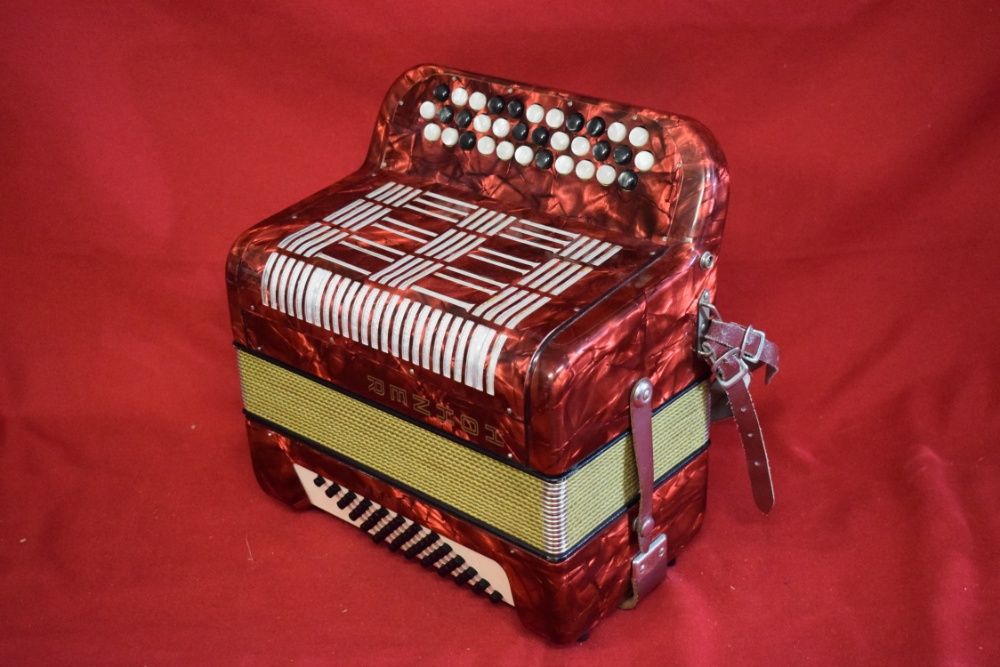 Hohner Amati Accordion, 2-Row, 48 Bass, No. 7264740306535425121