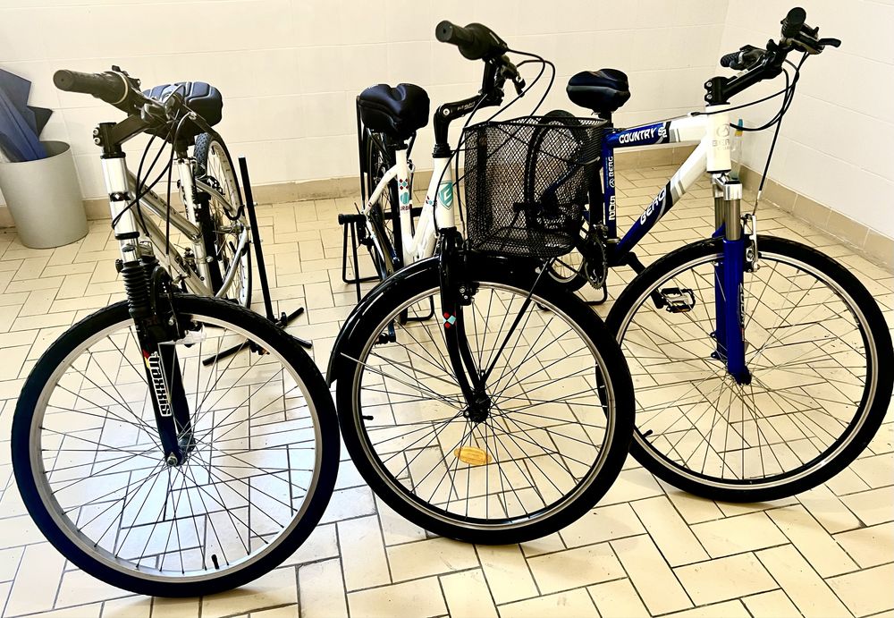 3 Bicicletas 2 de marca Berg outra de marca Sport 205 KX como novas.