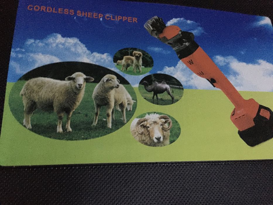 Máquina tosquia Ovelhas com Bateria