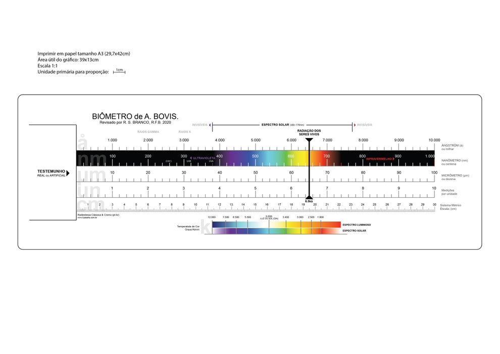 Caderno completo de biometros e gráficos radiestésicos