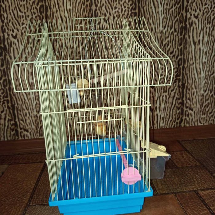 Продам клітку  для папуги