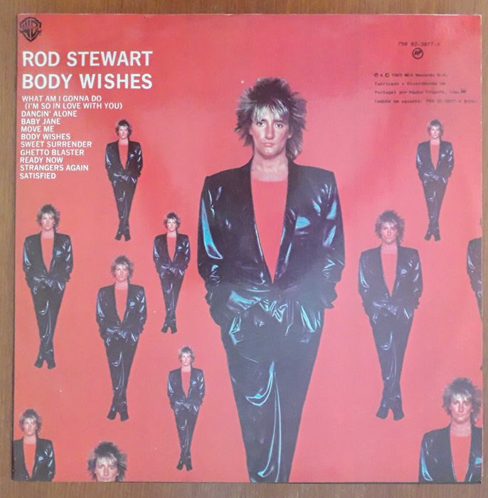 Rod Stewart disco de vinil