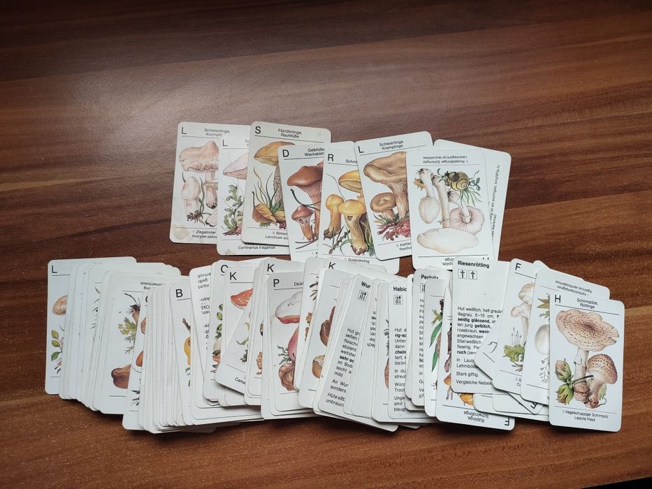 Karty edukacyjne grzyby PRL