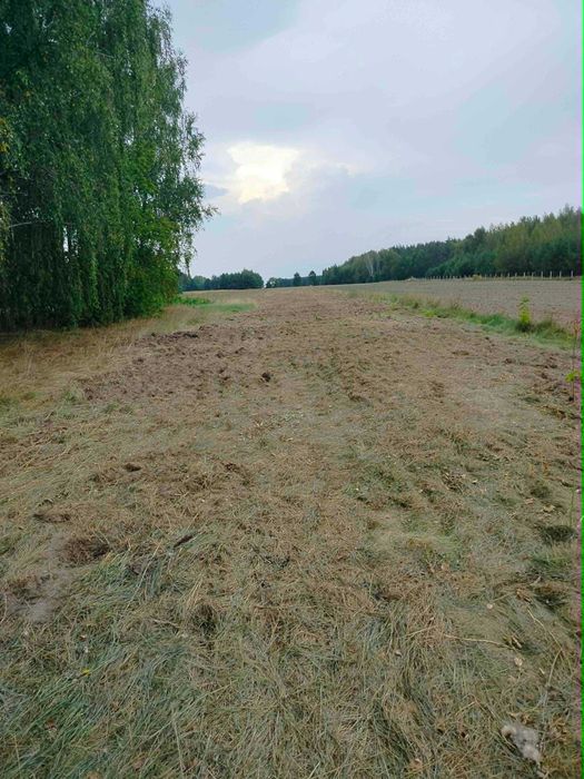 Do sprzedaży 11 działek w Nunie