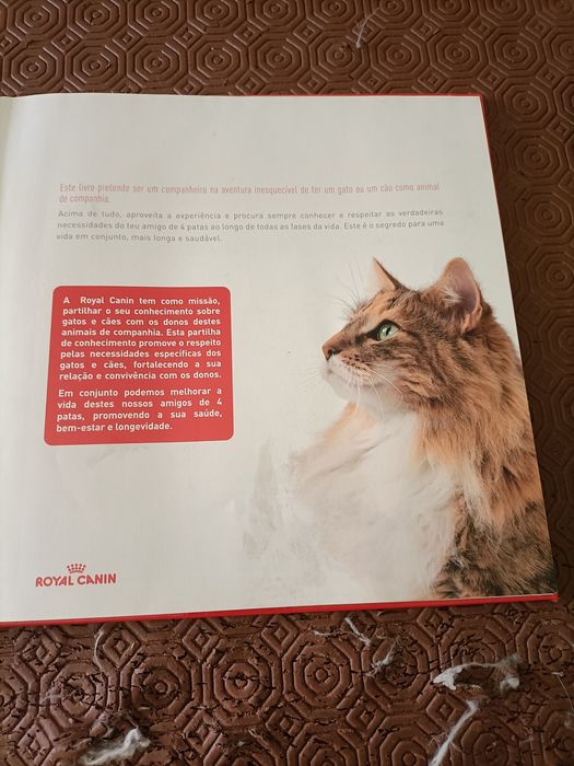 Livro Mãe, Pai! Eu quero um...
