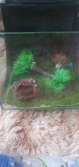 Продам срочно аквариум