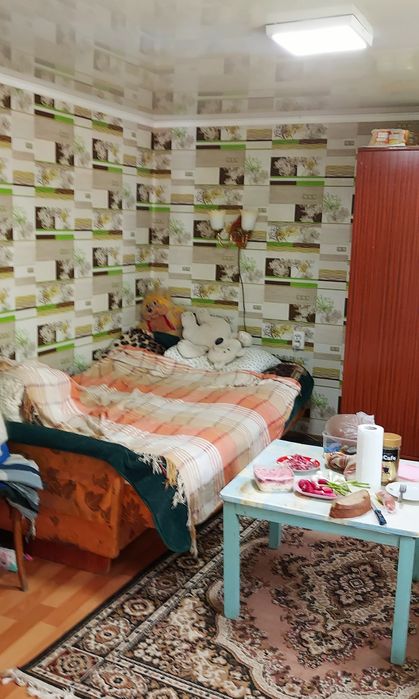 Будинок в с.Володькова Дівиця
