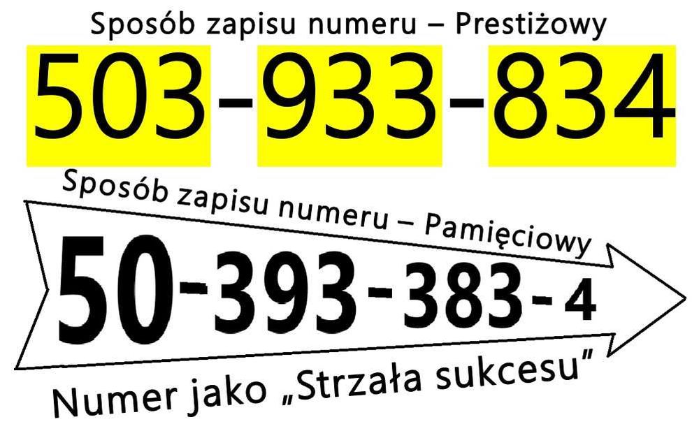 Strzał w dziesiątkę | 503 | Prestiżowy prefiks, 2. palindromy, Miejsce dla Klienta