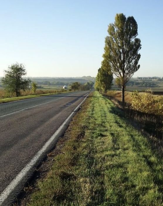 Sony Cyber-shot DSC-W80