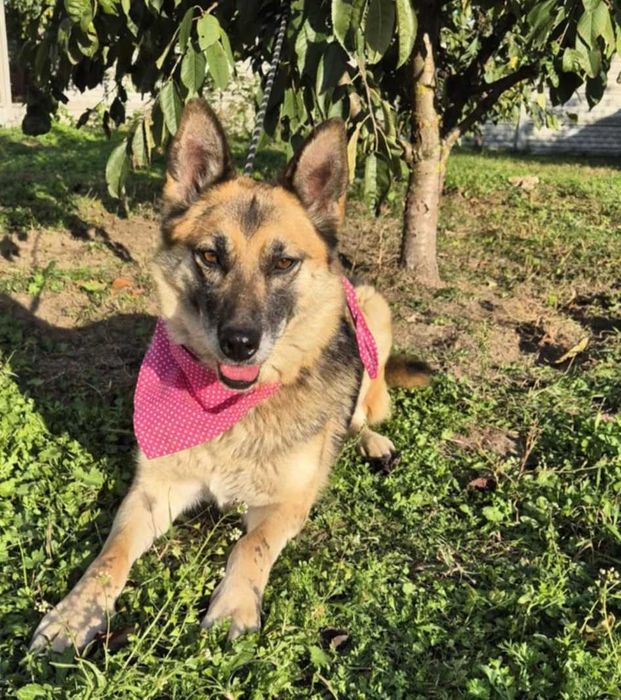 Poznaj piękną Kirę