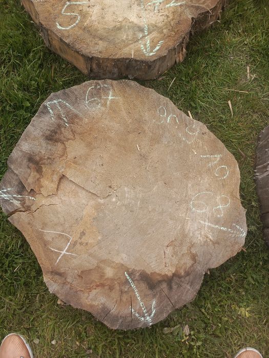 Plastry drewna... Sprzedam