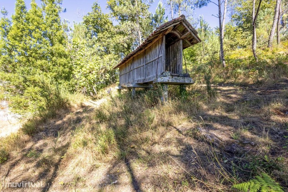 Quinta com 2 Hectares e Casa em Pedra para Recuperar em Gomide, Vila V