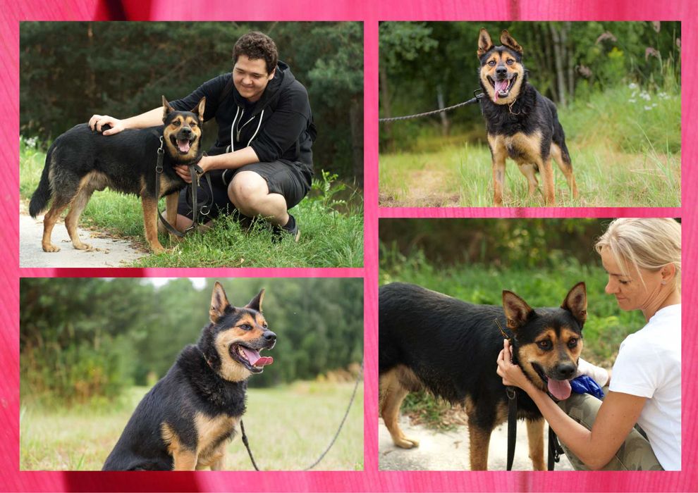 IVAN - marzy o nowym domu i rodzinie