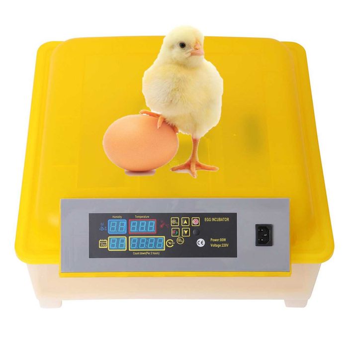 Chocadeira/Incubadora 48 Ovos Automática NOVA-Disponibilidade Imediata