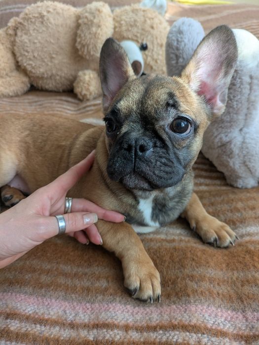 Чудова руденька міні  дівчинка в пошуку люблячої родини