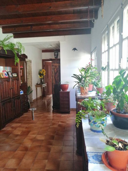 Venda imovel centenario