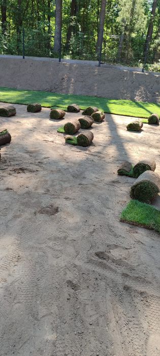 Trawa trawnik z rolki sprzedaż transport montaż wysyłki kurier