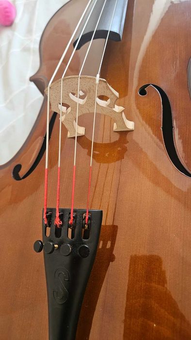 Violoncelo Stentor 1/2 (Revisão Luthier Jean-Yves Matter em 09/2026) + Arco + Mala