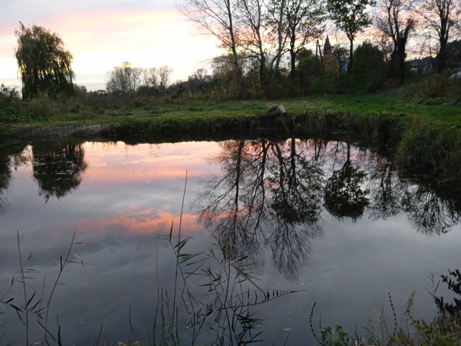 Mieszkania dla pracowników w centrum LUBRANCA