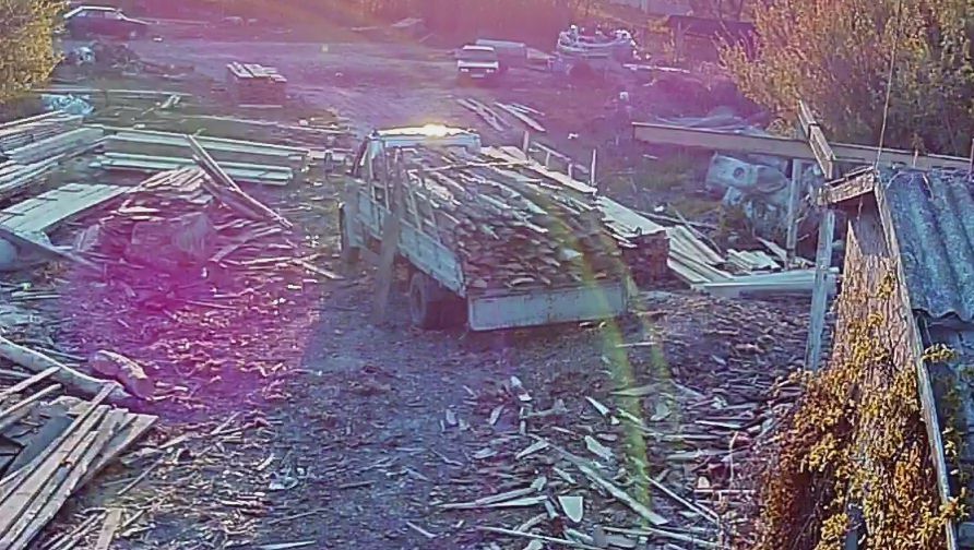 Дрова(обзел) сосна,тополь