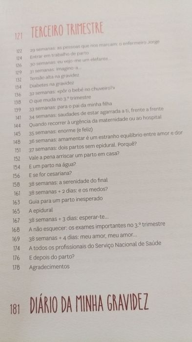 Livro "Dias de uma Princesa Grávida"