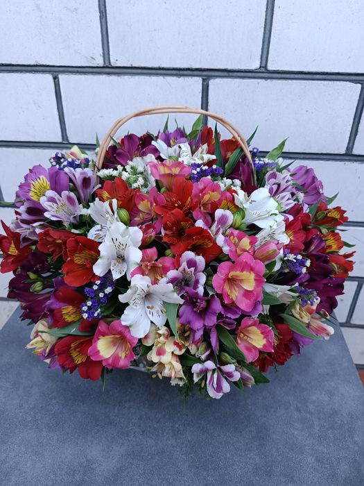 Коріння альстромерії