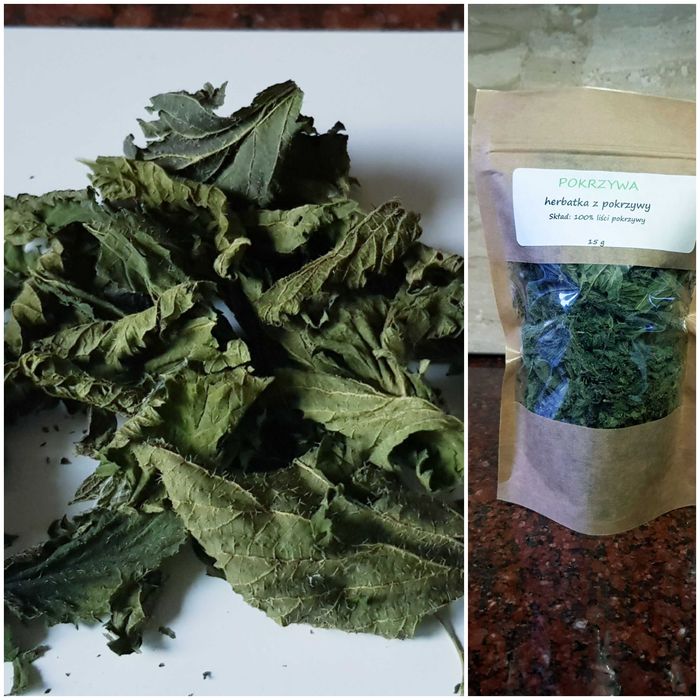 Pokrzywa - na herbatę