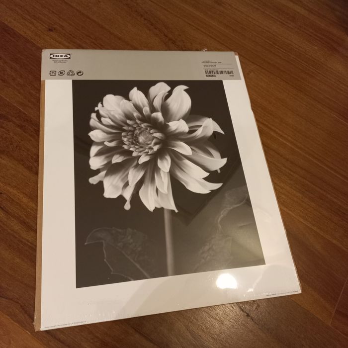 IKEA Flower Poster