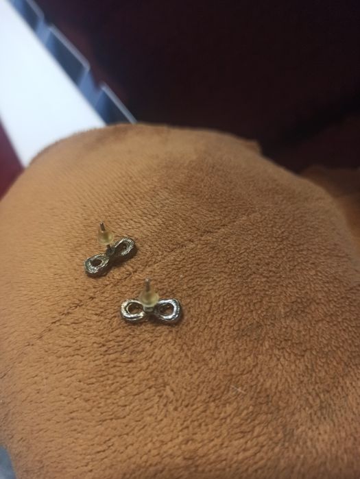 Кульчики гвоздики. Безкінечності срібло