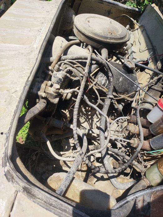 Продам луаз ( лунтік)