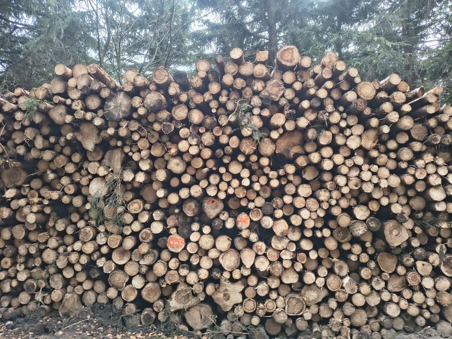 Drewno opalowe brzoza olcha swierk