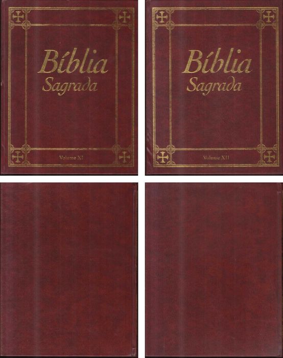 Bíblia Sagrada (2005) – 15 Volumes