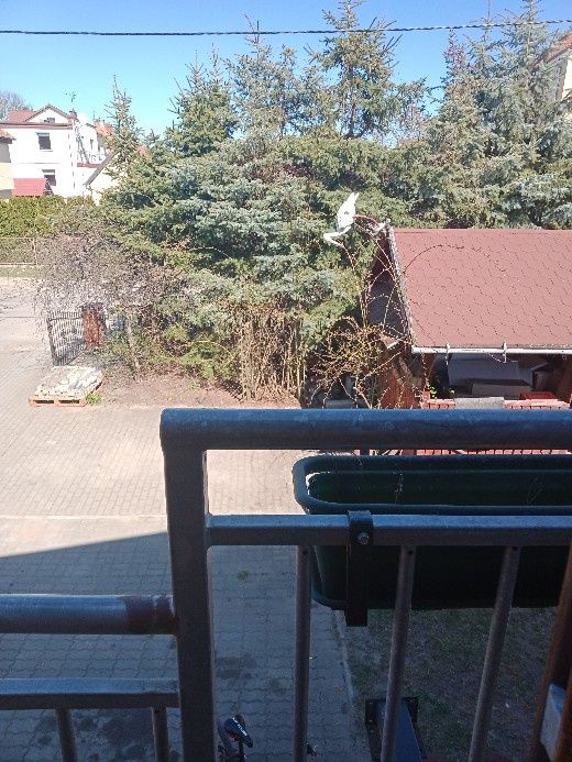 Zdjęcie 8