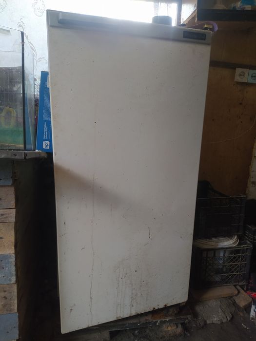 Холодильник Днепр 2