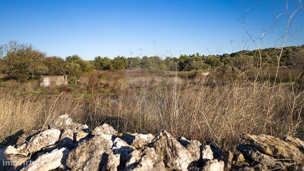 Terreno  para venda