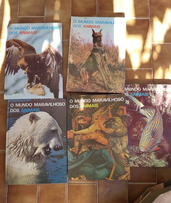 LIVROS: O Mundo Maravilhoso dos Animais