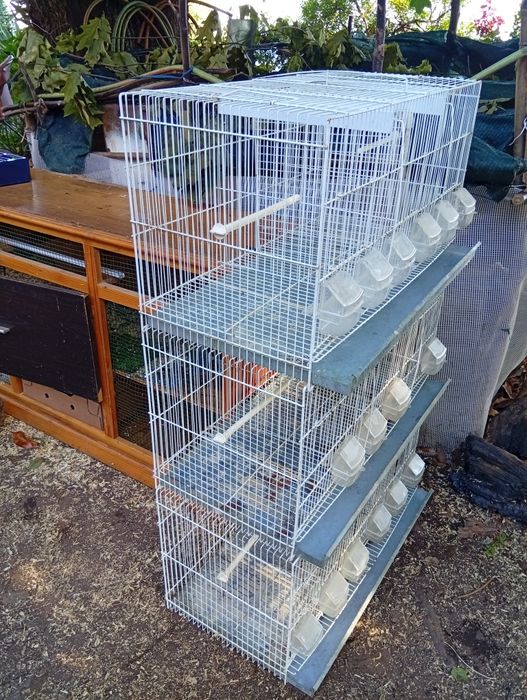 Gaiola criação viveiro de três divisões