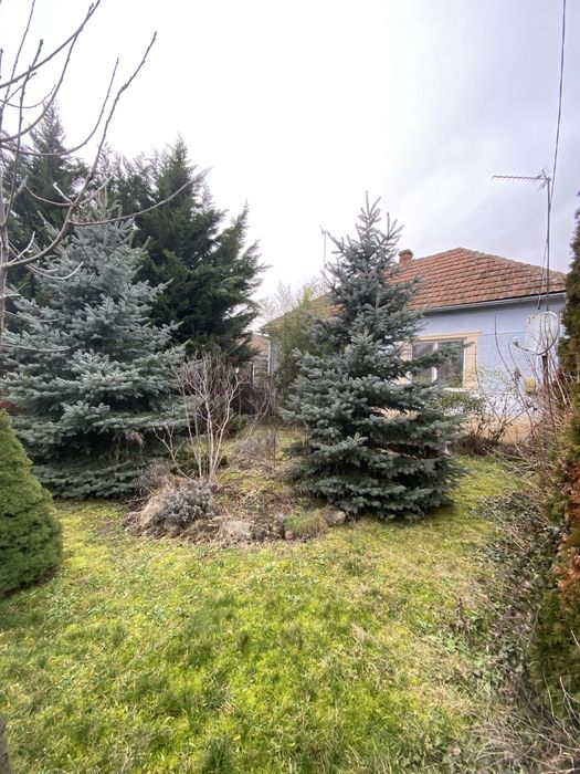 Продам будинок у передмісті Берегова с. Гут