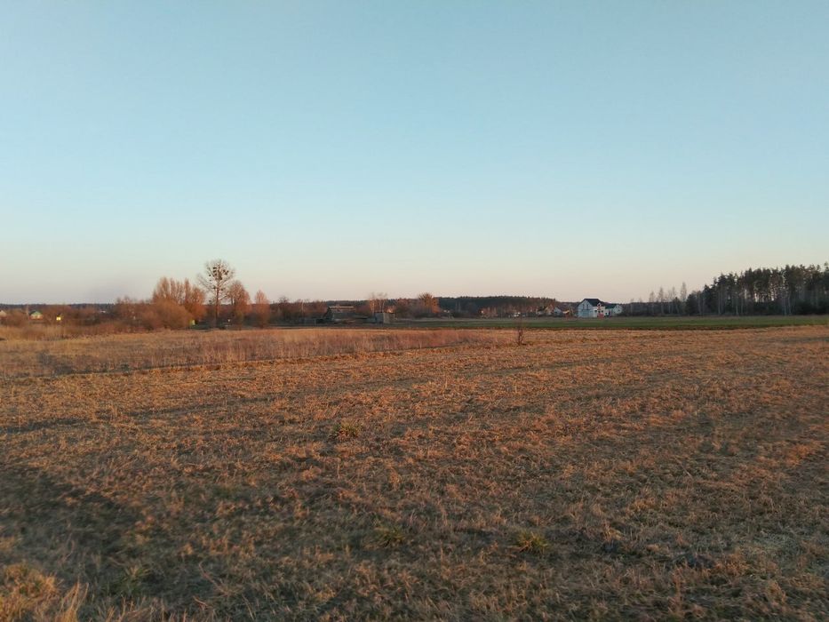 Земельна ділянка під забудову, с. Вишпіль