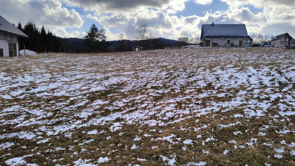 Działka budowlana 31 ar.