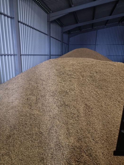 Owies  sprzedam na pelet