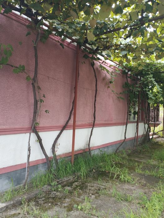 Продам дом Закарпатье Берегуйфолу