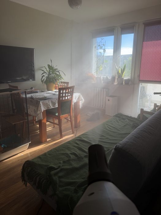 DDD Bydgoszcz – Deratyzacja, Dezynfekcja, Dezynsekcja 24h szybko