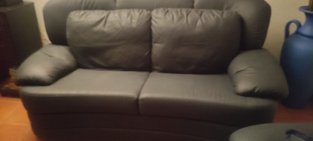 Conjunto de 2 sofás em eco pele