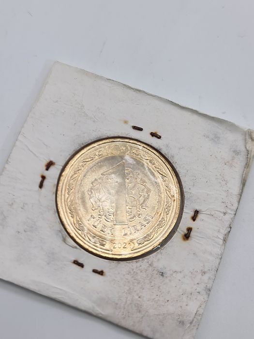Moeda de 1 lira comemorativa Turquia 2021