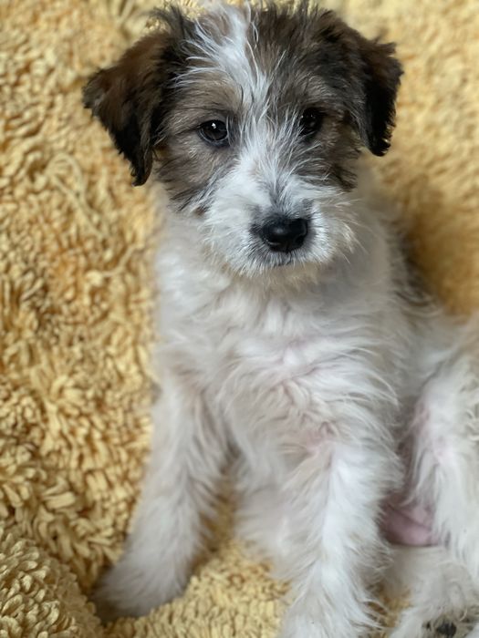 Красива дівчинка шукає родину