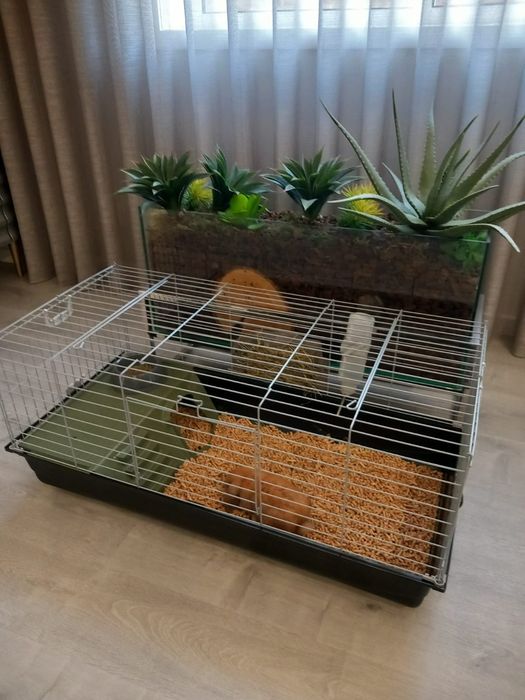 Casota/gaiola- usada