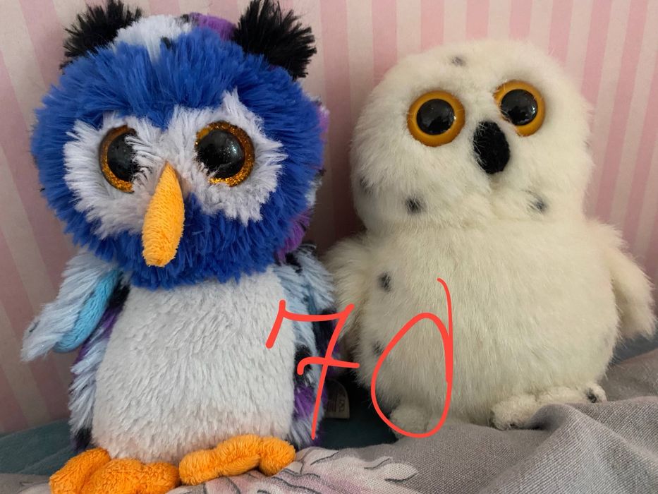 Совенятка ty, сови ту beanis boos